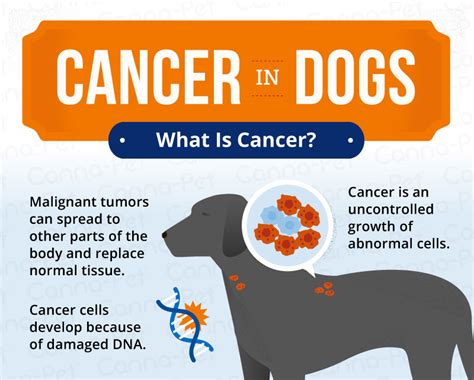 dogs in cancer research